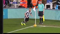Newcastle United VS Aston Villa 1-0 Yoan Gouffran Best Goal ever Championship 20.2.2017