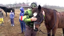 Spiderman, Hulk y el Capitán América de la Vida Real Juego de la granja de caballos