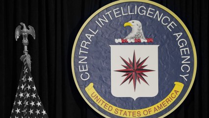 Why I left the CIA: 'There is a strong feeling of demoralization' under Trump
