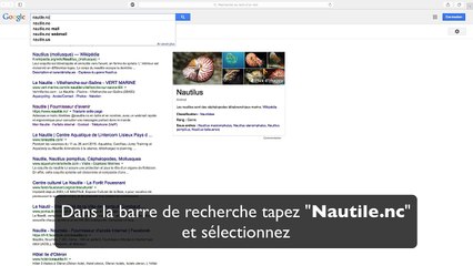 Comment afficher le panneau d'aperçu du webmail Nautile ?