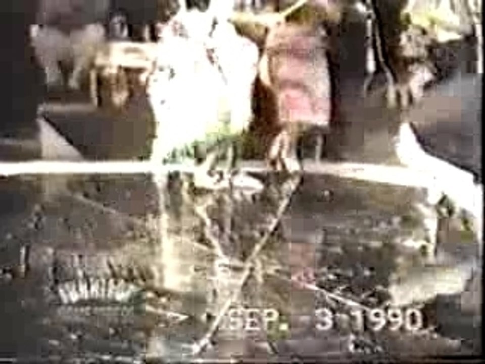 toma castaña