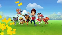 La Pata De La Patrulla De Cachorros Salvar A Sus Amigos | Completa Los Episodios De Juego | Juego De Nickelodeon