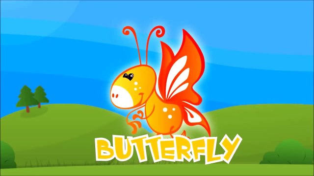 Surprise Eggs - Learn English with Looi the Cat | Animals | Compilation