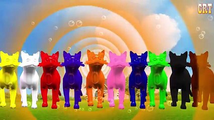 Fish Colourful Colour Song || Children Rhymes For Nursery Rhymes Collection