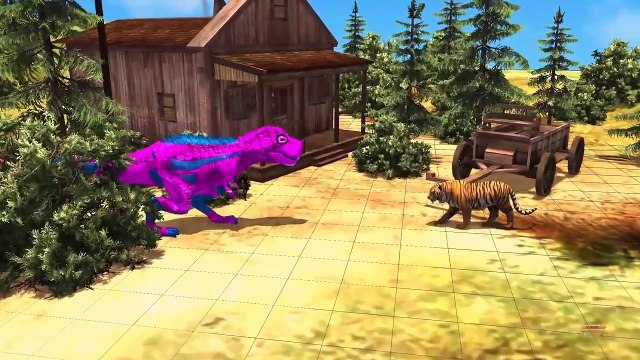 Skeleton Superman ironman captain america Hulk - Fat spiderman finger Family rhymes 3d ani