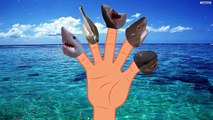 Dedo De La Familia Batallas Épicas Crazy Shark Vs Loco Sirena | Dedo De La Familia Rimas De Cuarto De Niños