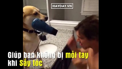 Những Thói Quen Thường Gặp của FA 💖: Đừng Học Theo, Chỉ Thích Thú Nhồi Bông!