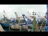 Report TV - Peshkatarët e Triportit në Vlorë:30 %  e peshkarexheve funksionojnë