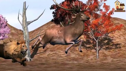 3D Wild Animals Tiger Lion Gorilla & Super Heroes Finger Family || English Rhymes