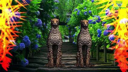 Animal Finger Family - 3D Nursery rhymes Song | Lion And cheetah Animation for Children