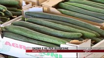 Skema e re për bujqësinë - News, Lajme - Vizion Plus