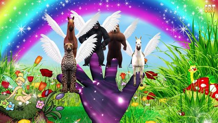 Color Songs Collection | Elephant Cartoon Animation Color Songs For Kids Rhymes