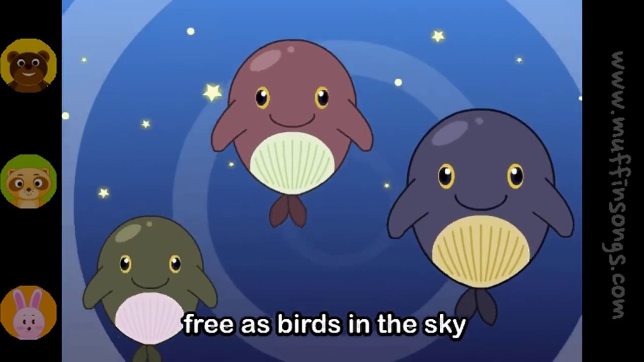 Song Of Whales by Muffin Songs | Whale Song For Kids!