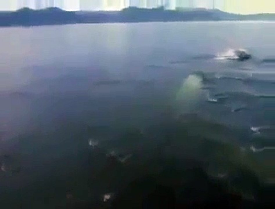 Allah ki qudrat allah ki shaan Miracles of Allah Must watch