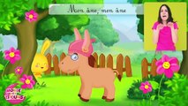 La comptine du cheval - chansons à gestes pour les enfants - Titounis-mpDacCs6A-0