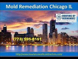 Mold Remediation Chicago IL (773) 595-6151