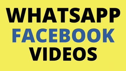 Funny Goat and Bull Attack