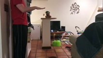 Puppy Jumps 4X Her Own Height Slow Motion-Md9-ydvWvMk