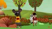 BINGO Perro de la Canción canción infantil Con Letra de dibujos animados Animación Rimas y Canciones para Niños