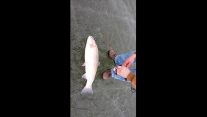 Il pêche une truite gigantesque qui passe à peine dans le trou sur le lac gelé!