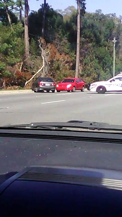 La course-poursuite la plus ridicule de l'année... Petit demi-tour au ralenti