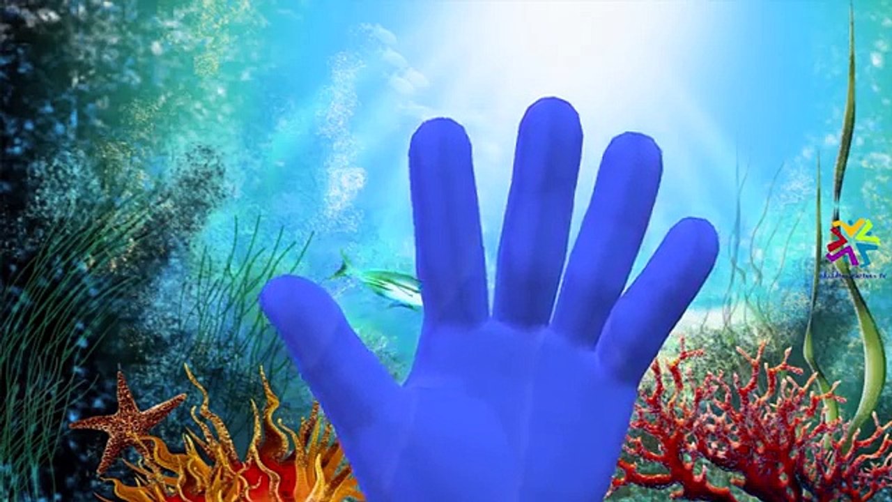 Animals Finger Family Rhymes For Children | Animals Cartoon Finger Family Nursery Rhymes