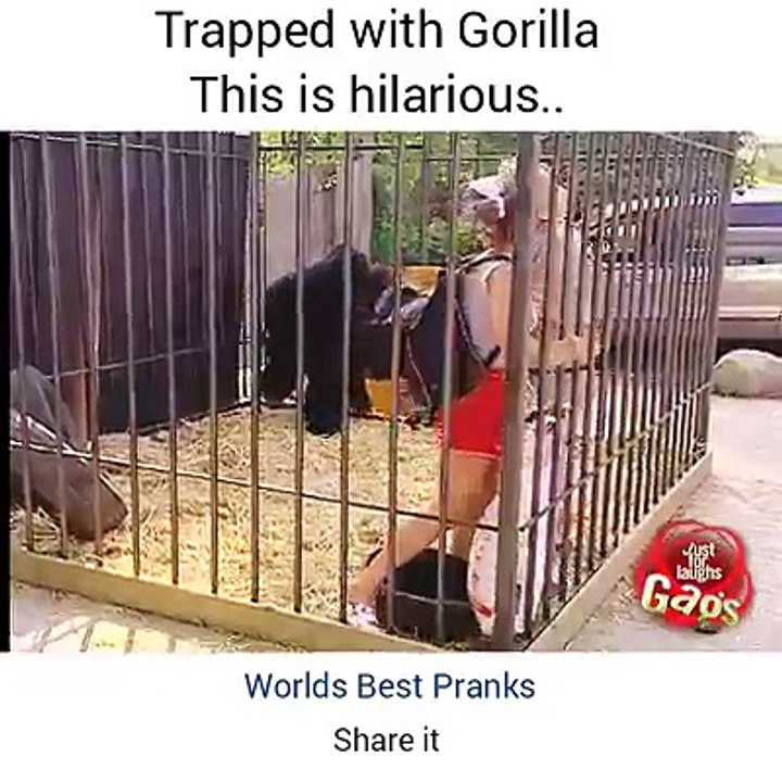Gorilla napada