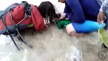 Au Brésil, elle tire un requin hors de l’eau pour prendre un selfie, mais ce qui se passe est horrible