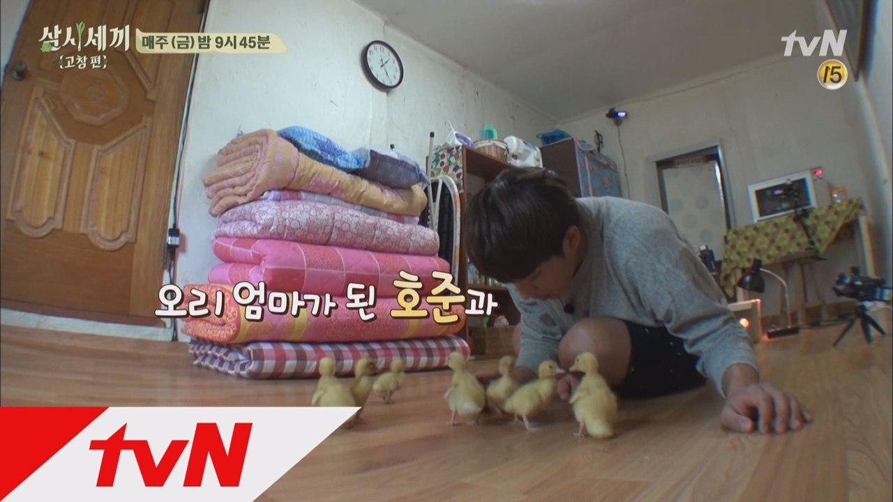 엄마를 꼭 닮은 손오리들!