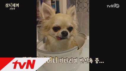 연예계 은퇴한 ′산체′ 근황 공개!