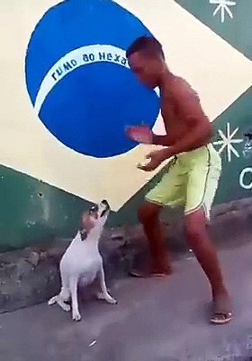 Dance dog and boy