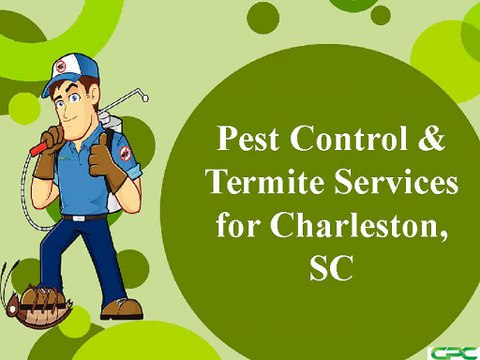 Pest Control & Termite Services for Charleston, SC