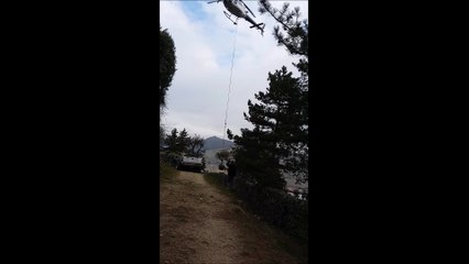 Héliportage des oliviers au jardin d'Eden le 21 février 2017 à Tournon sur Rhône