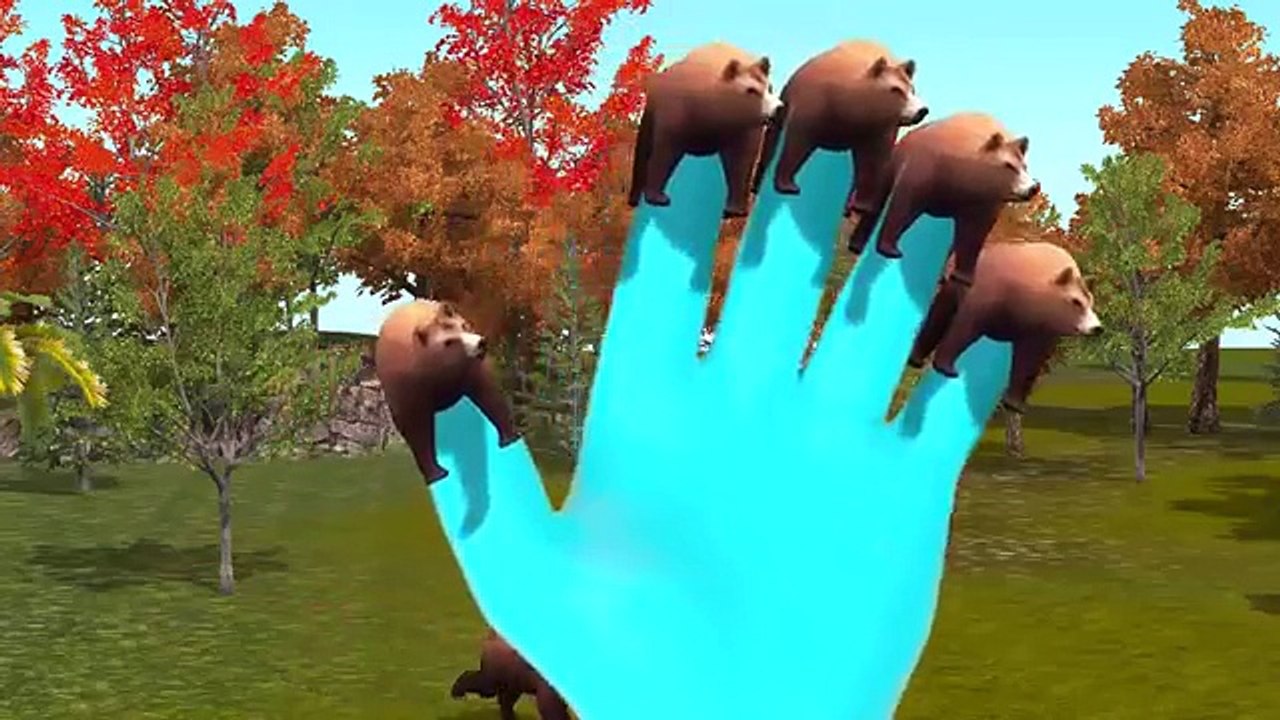 Bear Top 10 Animated 3D Finger Family Rhymes | 3D Finger Family Songs