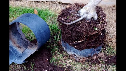 Αποφραξεις Ζωγράφου – 2107622111 – Apofraχeis Zografou