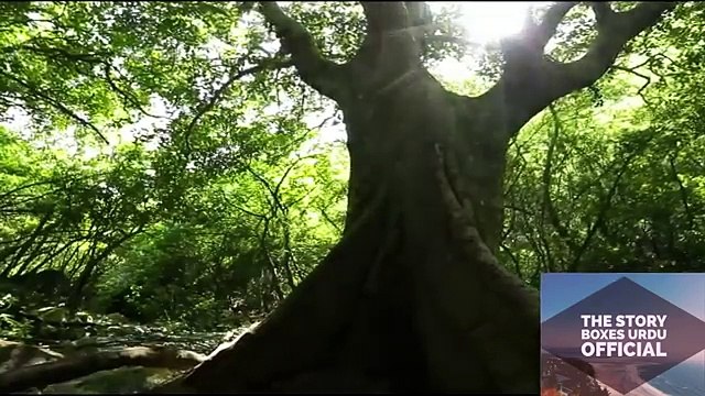Margalla Hills National Park Short Documentary in Urdu