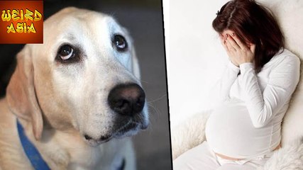 Dog SEES Dead Babies! | Weird Asia