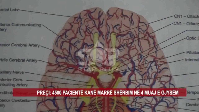 VARFËRIA DHE PAPUNËSIA, RRITET NUMRI I TË SËMURËVE MENDOR NË SHKODËR