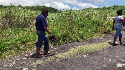 Surfista morre por ataque de tubarão em ilha francesa