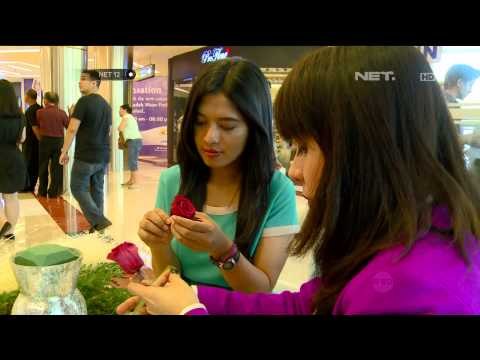 Bunga Hias Yang Awet Tahunan - NET12