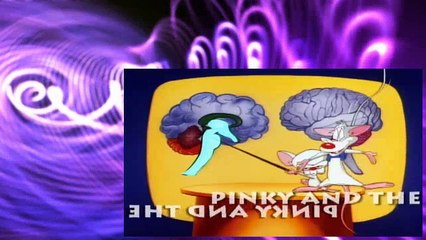 Pinky E Cerebro S01E13