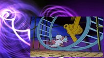 Pinky E Cerebro S01E07