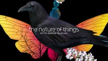 The Nature Of Things @ Planet Hunters