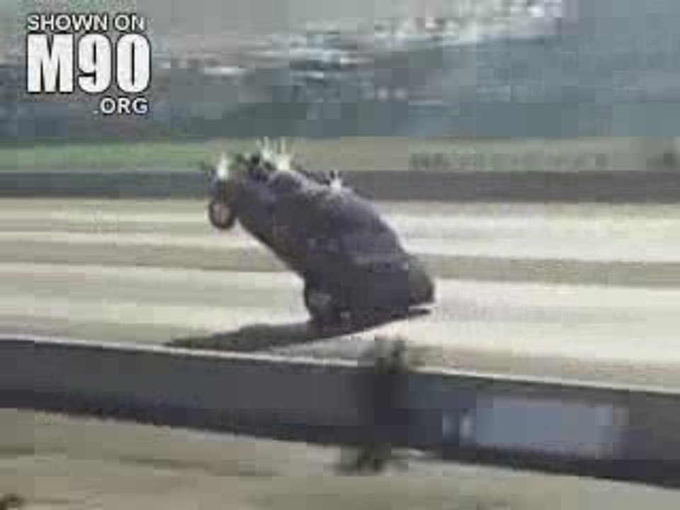 Wheeling Compil