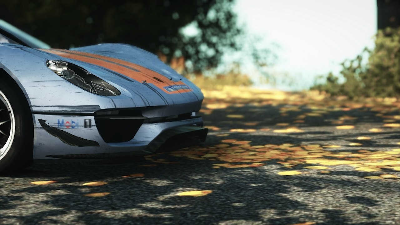 Need For Speed The Run Stage #9 STATE FOREST