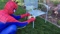 SPIDERMAN GETS SHRUNK! - Everybody shrinks - Elsa Spiderman Superhero Kid Movie In Real Li