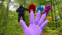 Colors Elephant Vs Gorilla Finger Family | Lion Vs Python | Wild Animals Names Nursery Rhy