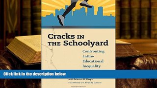 Read Online  Cracks in the Schoolyard--Confronting Latino Educational Inequality For Ipad