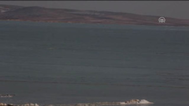 Havaların Isınması Göçmen Kuşlara Yaradı