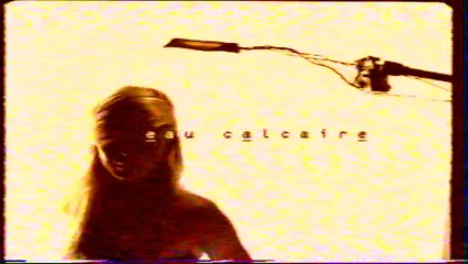 pub shampoing blond jacques dessange